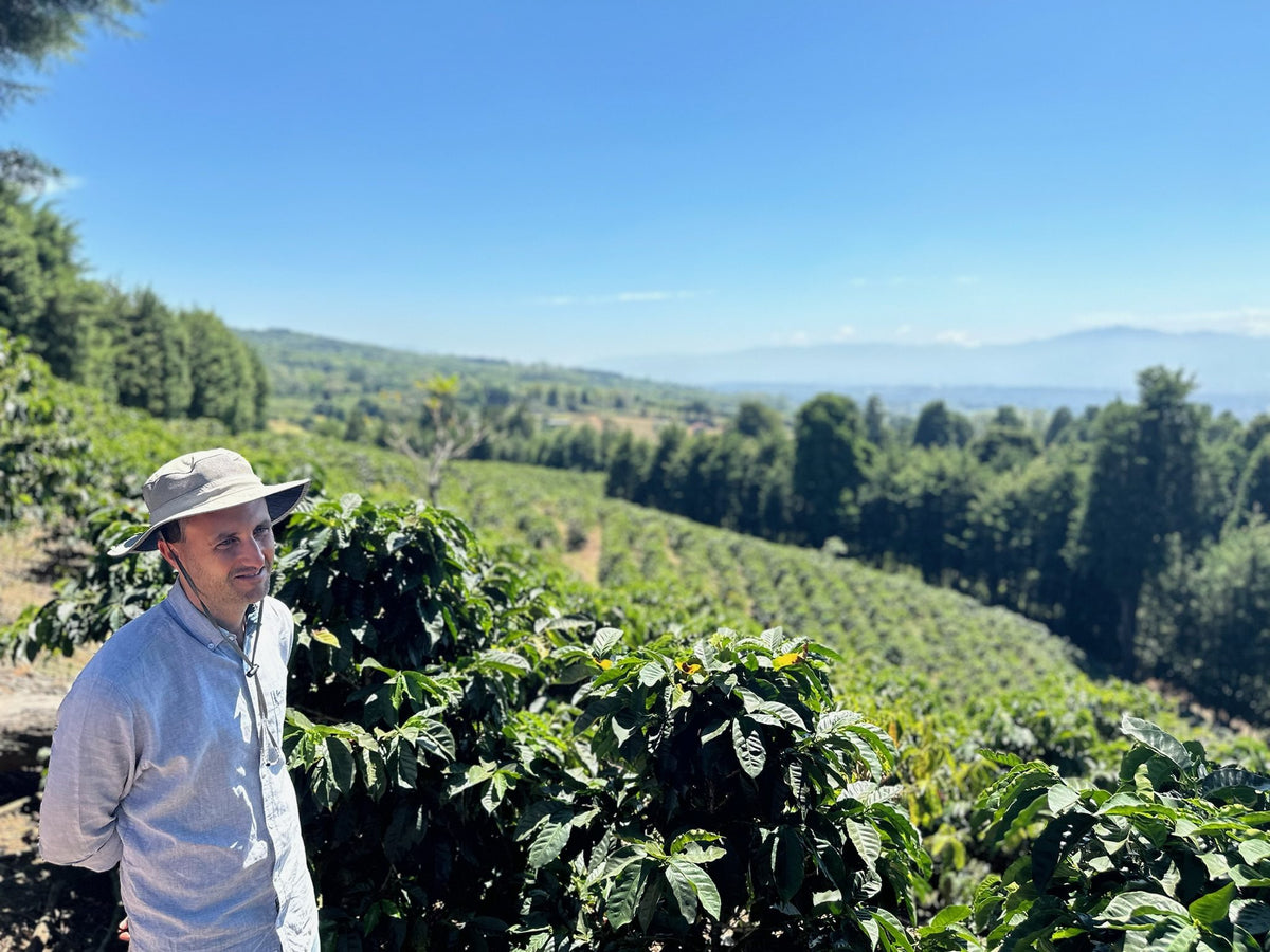 A man in a bucket hat standing beside coffee rows that roll down to a wide valley at Volcán Azul