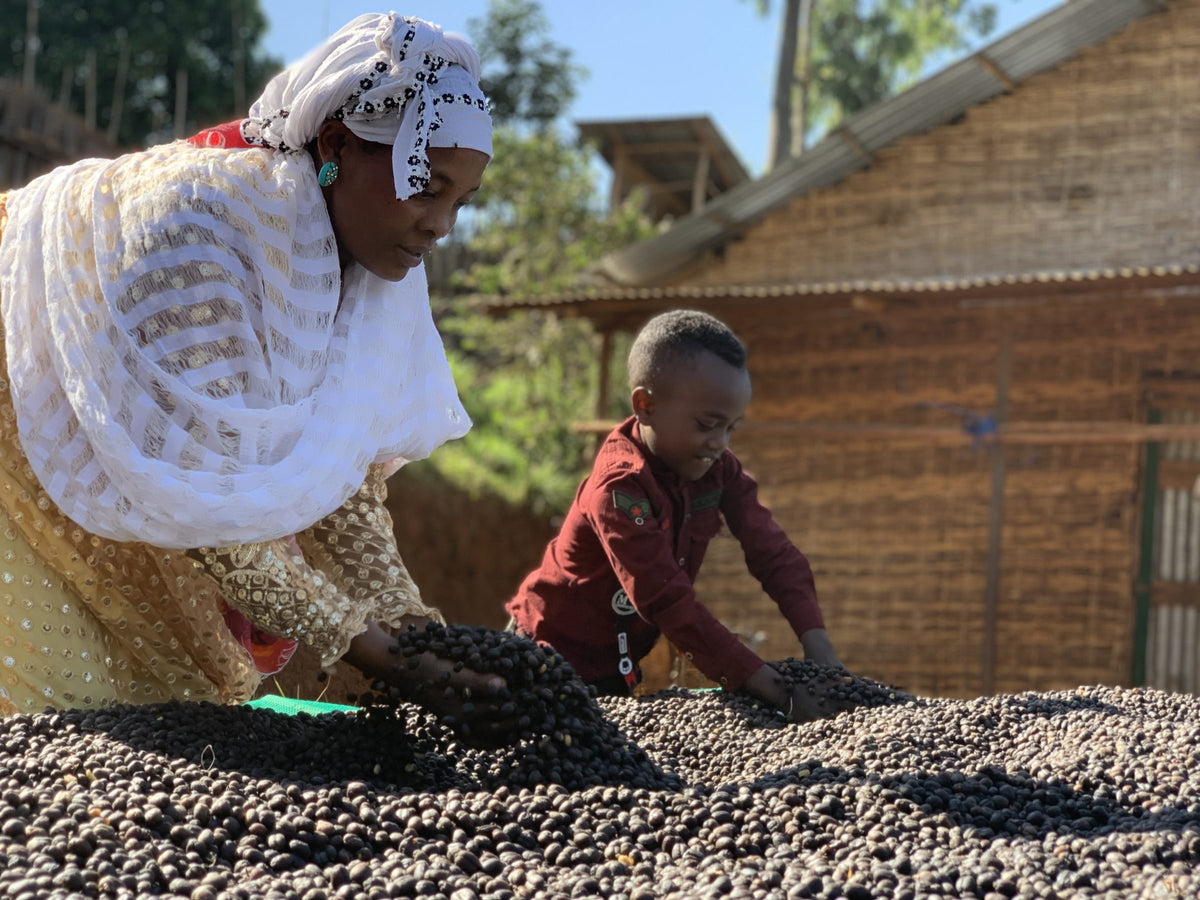 Woman in a white shawl and a small child sorting drying natural cherries beside a wooden hut