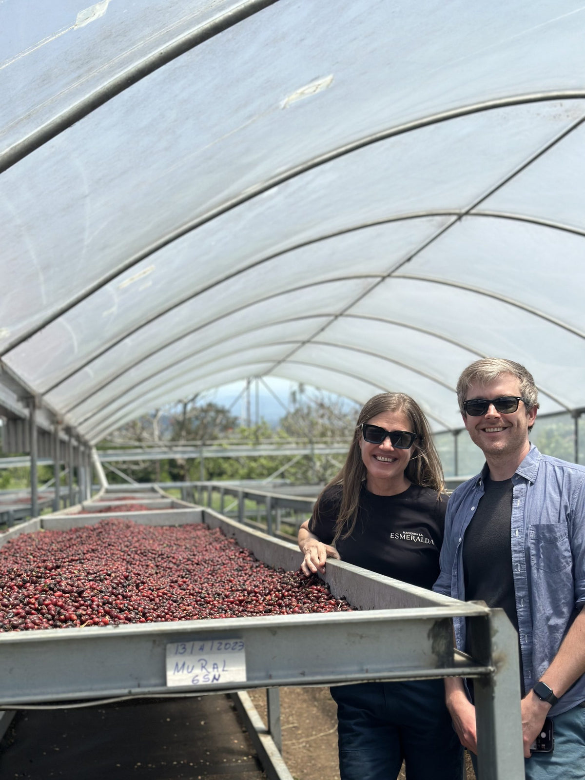 Two smiling people in sunglasses beside raised beds of drying natural coffee under a greenhouse at Hacienda La Esmeralda