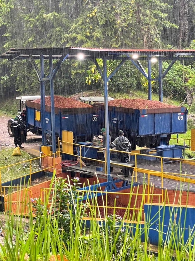 Boru Batak