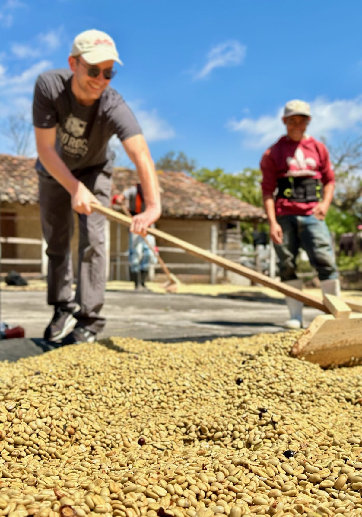 Los Planes Pacamara