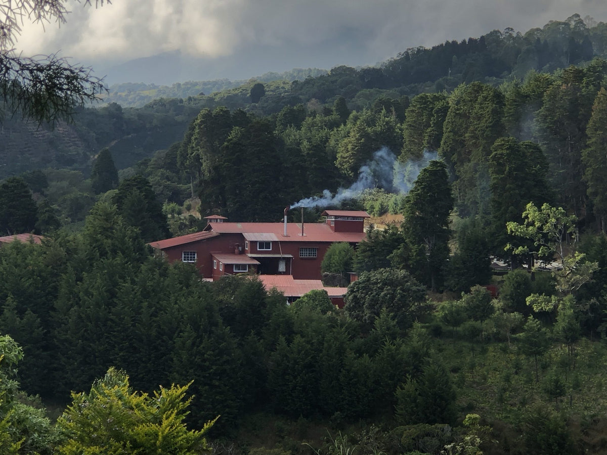 A red-roofed farmhouse with chimney smoke tucked into a misty, forested valley at Volcán Azul
