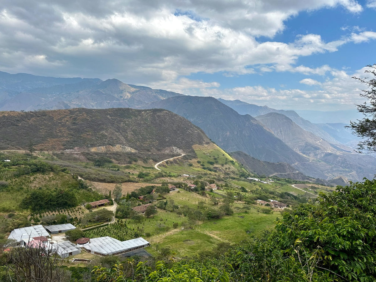Deep dry Andean valley under big clouds, with greenhouse drying structures and farm buildings below