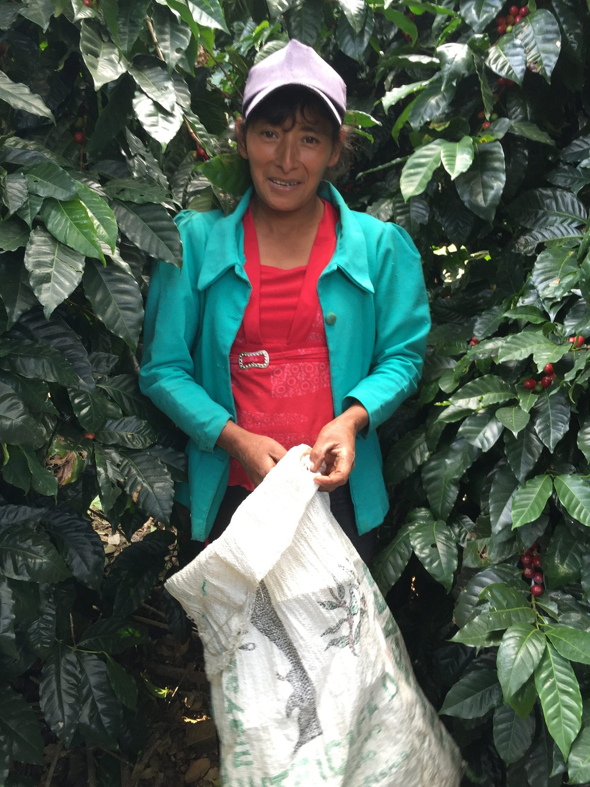 A smiling coffee picker in a lilac cap and turquoise jacket standing among cherry-laden coffee trees at Finca Los Planes, holding her harvest sack