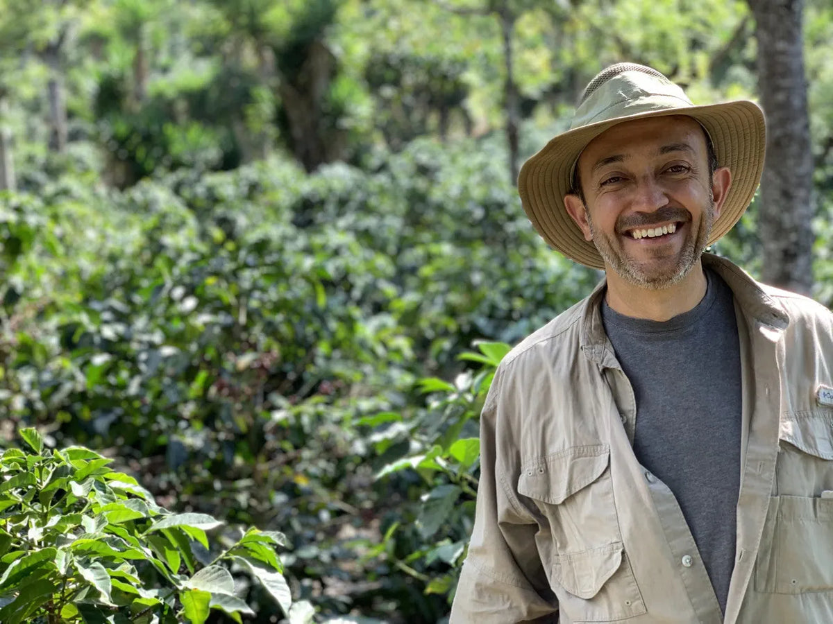 Smiling man in a sun hat among coffee plants at Finca Santa Ana